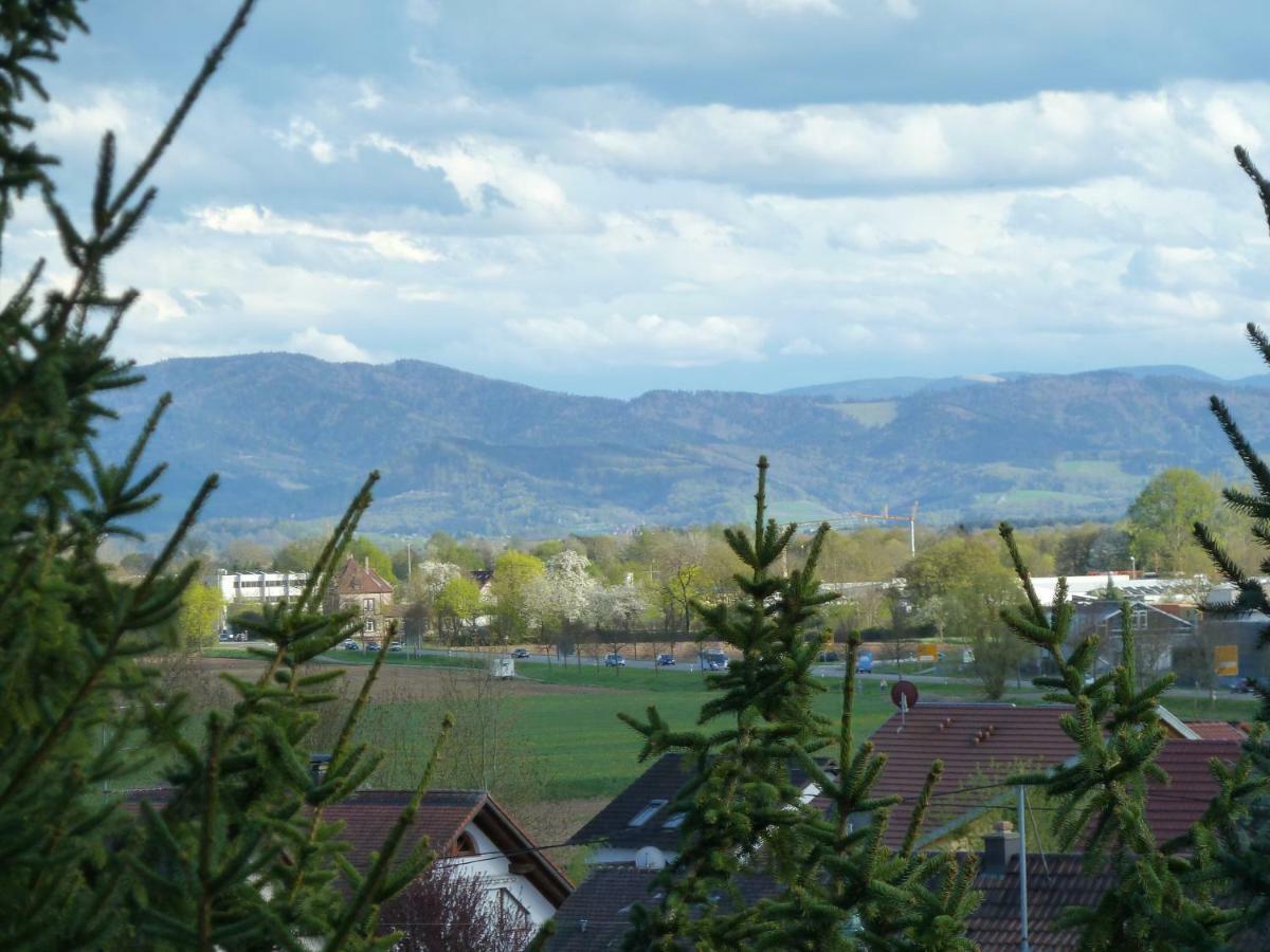 Helle 70 Qm Ferienwohnung Mit Herrlichem Blick Teningen Extérieur photo
