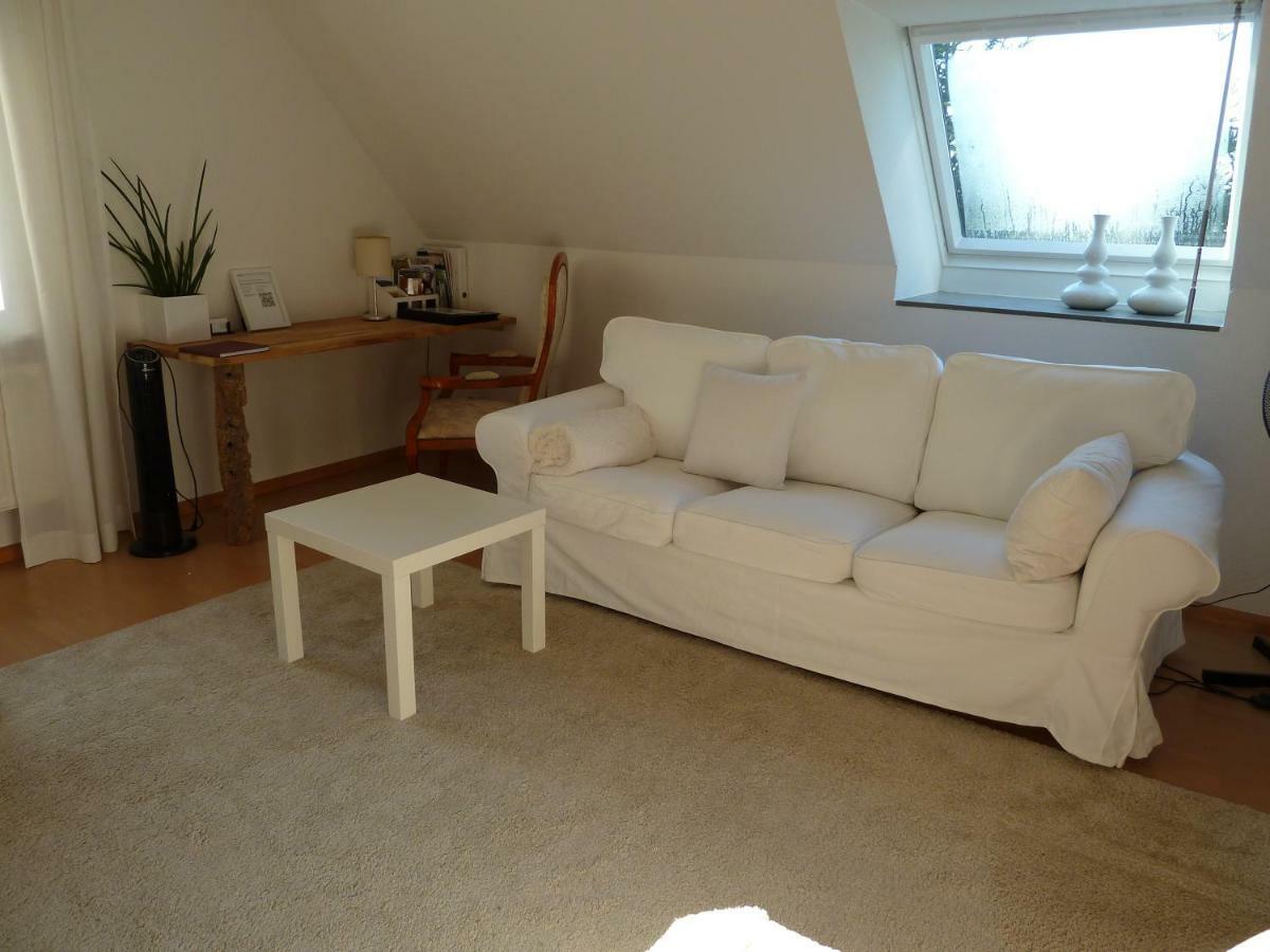 Helle 70 Qm Ferienwohnung Mit Herrlichem Blick Teningen Extérieur photo
